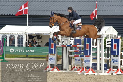 Absolut horses
ma 2 140cm
Nøgleord: maria bjørnkjær bennedsgaard;stenhaga eldorado du rouet