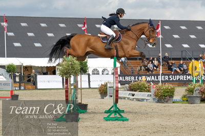 Absolut horses
ma 2 140cm
Nøgleord: maria bjørnkjær bennedsgaard;stenhaga eldorado du rouet
