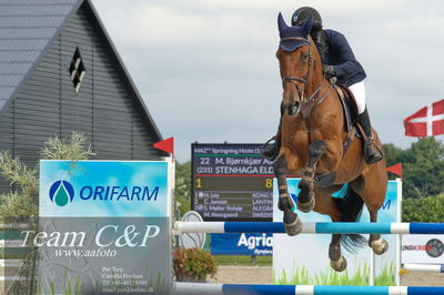 Absolut horses
ma 2 140cm
Nøgleord: maria bjørnkjær bennedsgaard;stenhaga eldorado du rouet