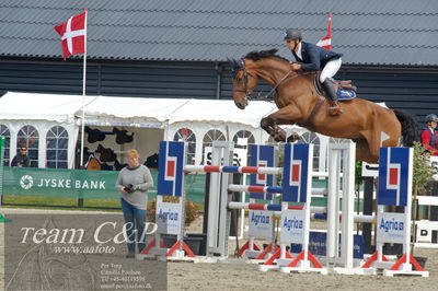 Absolut horses
ma 2 140cm
Nøgleord: lars trier kjoeller;dinapo