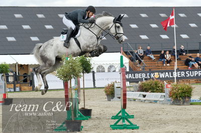 Absolut horses
ma 2 140cm
Nøgleord: søren møller rohde;grace ask