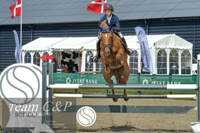 Absolut horses
youngster finale
Nøgleord: benjamin saurugg;vagabond's lady merelsnest z