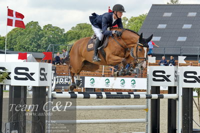 Absolut horses
youngster finale
Nøgleord: jonathan hvalsøe saul;cashback 6