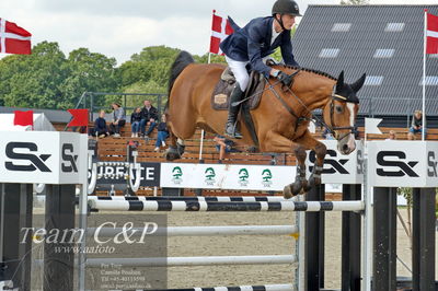 Absolut horses
youngster finale
Nøgleord: jonathan hvalsøe saul;cashback 6