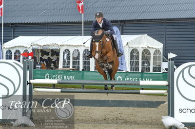 Absolut horses
youngster finale
Nøgleord: jonathan hvalsøe saul;cashback 6