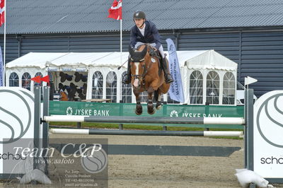 Absolut horses
youngster finale
Nøgleord: jonathan hvalsøe saul;cashback 6