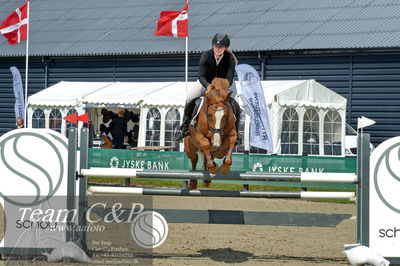 Absolut horses
youngster finale
Nøgleord: line hansen;apondio dwb