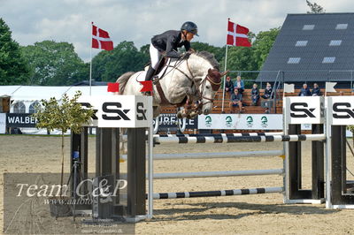 Absolut horses
youngster finale
Nøgleord: renee ulvsberg;bernstein