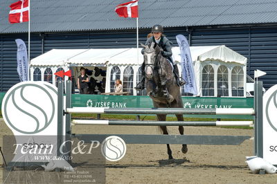 Absolut horses
youngster finale
Nøgleord: karen møller rohde;figeac ask