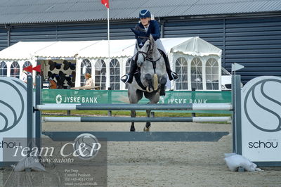Absolut horses
youngster finale
Nøgleord: anni pape;cordino