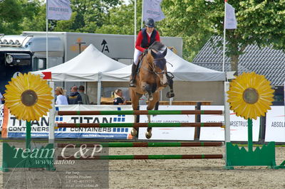 Absolut horses
youngster finale
