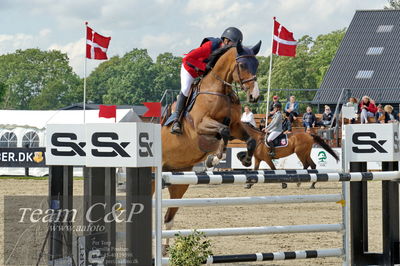 Absolut horses
youngster finale
