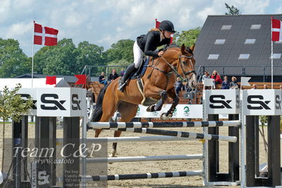 Absolut horses
youngster finale
Nøgleord: line hansen;madonna-em