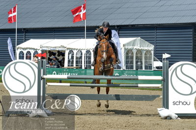 Absolut horses
youngster finale
Nøgleord: line hansen;madonna-em