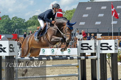 Absolut horses
youngster finale
Nøgleord: martin neeergaard;perle van het napoleon hof