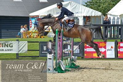 Absolut horses
youngster finale
Nøgleord: martin neeergaard;perle van het napoleon hof