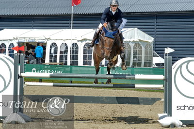 Absolut horses
youngster finale
Nøgleord: martin neeergaard;perle van het napoleon hof