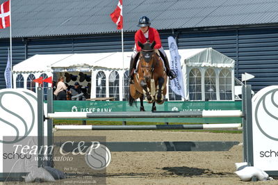 Absolut horses
youngster finale
Nøgleord: shannon ketterle;first jolie