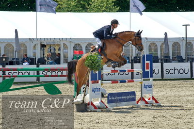Absolut horses
youngster finale
Nøgleord: jonathan hvalsøe saul;gradje