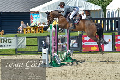 Absolut horses
youngster finale
Nøgleord: ian fives;cali blue ps