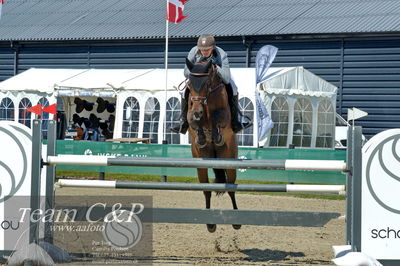 Absolut horses
youngster finale
Nøgleord: ian fives;cali blue ps