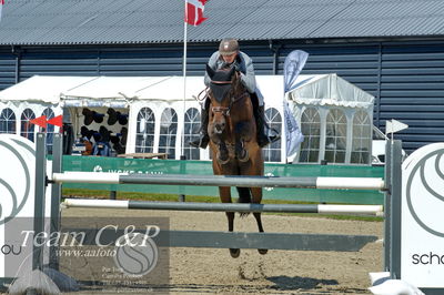 Absolut horses
youngster finale
Nøgleord: ian fives;cali blue ps