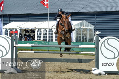 Absolut horses
youngster finale
Nøgleord: tina lund;even floww hbr