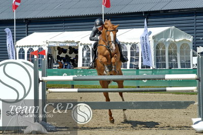 Absolut horses
youngster finale
Nøgleord: torben frandsen;elmegårdens  dakota
