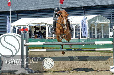 Absolut horses
youngster finale
Nøgleord: torben frandsen;elmegårdens  dakota