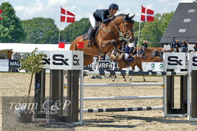 Absolut horses
youngster finale
Nøgleord: linnea ericsson carey;con vados
