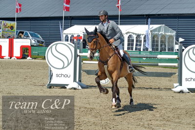 Absolut horses
youngster finale
Nøgleord: francisco caba guil;jodocus vr