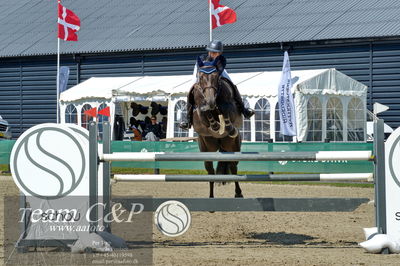 Absolut horses
youngster finale
Nøgleord: caroline schaarup-kjaer;cazia