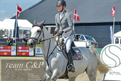 Absolut horses
youngster finale
Nøgleord: maria noerregaard langhoff;birkegårdens conchita dwb