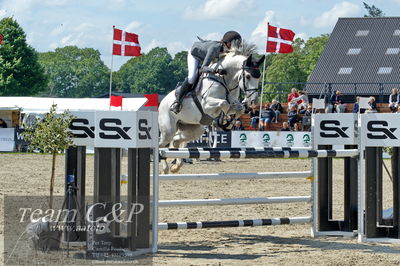 Absolut horses
youngster finale
Nøgleord: camilla mortensen;tysons son z