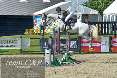 Absolut horses
youngster finale
Nøgleord: camilla mortensen;tysons son z