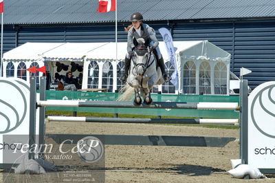 Absolut horses
youngster finale
Nøgleord: camilla mortensen;tysons son z