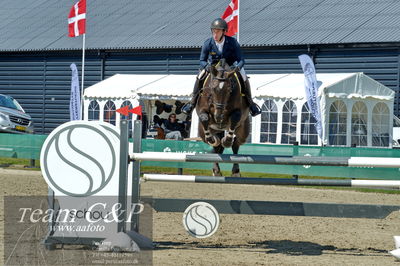 Absolut horses
youngster finale
Nøgleord: benjamin saurugg;alpha'm z