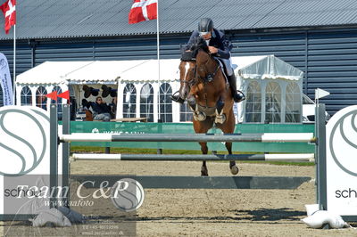 Absolut horses
youngster finale
Nøgleord: kristian skovrider;gigi