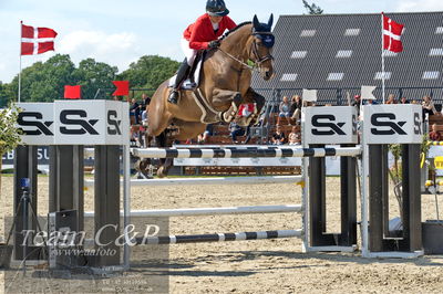 Absolut horses
youngster finale
Nøgleord: shannon ketterle;balotelli love
