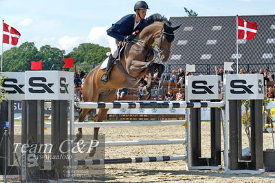 Absolut horses
youngster finale
Nøgleord: adam sparlund olesen;san pedro 15
