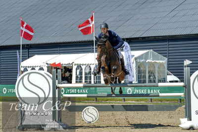 Absolut horses
youngster finale
Nøgleord: adam sparlund olesen;san pedro 15