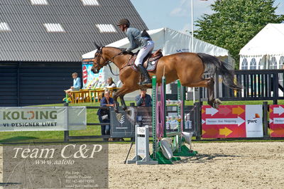 Absolut horses
youngster finale
Nøgleord: ian fives;conterno-blue ps