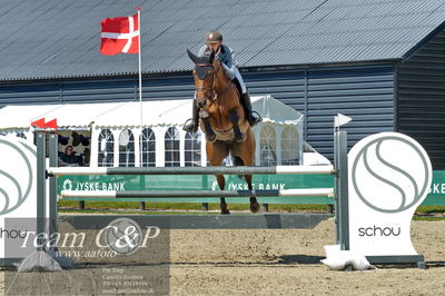 Absolut horses
youngster finale
Nøgleord: ian fives;conterno-blue ps