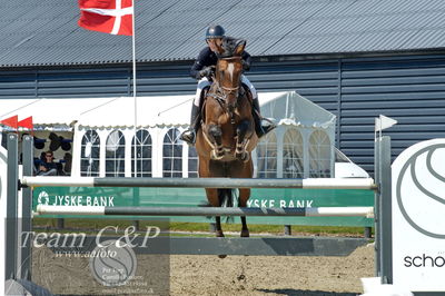 Absolut horses
youngster finale
Nøgleord: tina lund;greta II