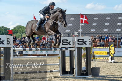 Absolut horses
youngster finale
Nøgleord: torben frandsen;lavion 3