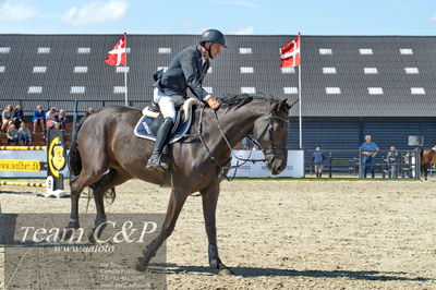 Absolut horses
youngster finale
Nøgleord: torben frandsen;lavion 3