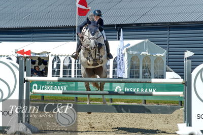 Absolut horses
youngster finale
Nøgleord: linnea ericsson carey;heinsgaaardens sif