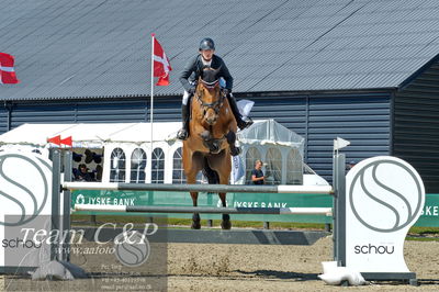 Absolut horses
youngster finale
Nøgleord: kasper  h hansen;jamaica