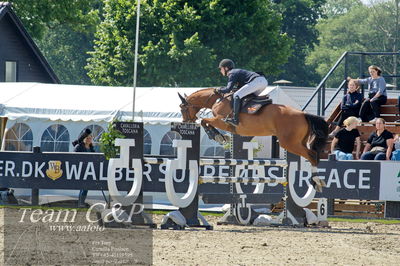 Absolut horses
youngster finale
Nøgleord: jonathan hvalsøe saul;cashback 6