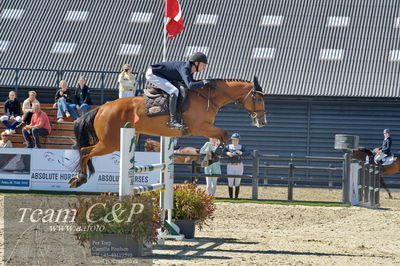 Absolut horses
youngster finale
Nøgleord: jonathan hvalsøe saul;cashback 6